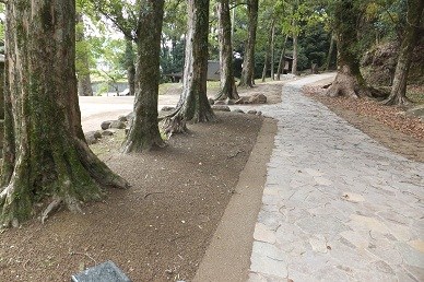 南さつま市　竹田神社　いにしへの道